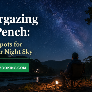 Stargazing at Pench Best Spots for a Clear Night Sky
