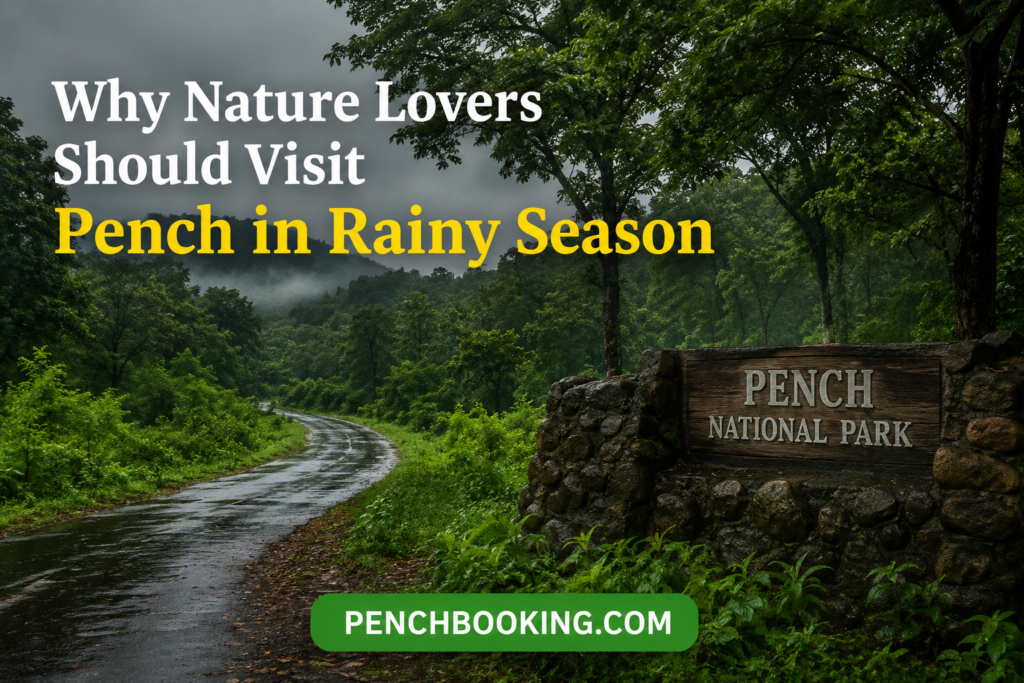 Why Nature Lovers Should Visit Pench in Rainy Season