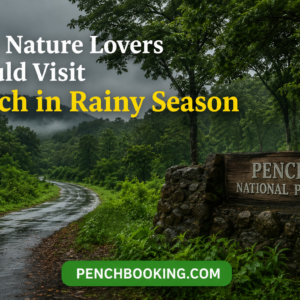 Why Nature Lovers Should Visit Pench in Rainy Season