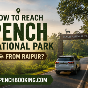 How to Reach Pench National Park from Raipur
