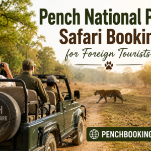 Pench National Park Safari Booking for Foreign Tourists