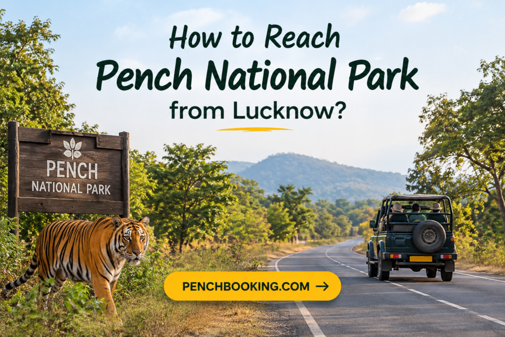 How to Reach Pench National Park from Lucknow?