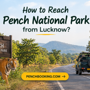 How to Reach Pench National Park from Lucknow?